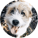 chijl3yqsvmvpw0rqrflbhnbxri a07b14df79cabfa115184f7c7a010074 1